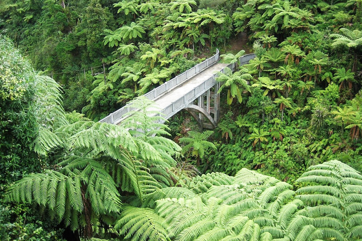 Bridge to Nowhere Naturkundliche Rundreise Neuseeland